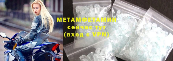 шишки Сосновый Бор