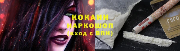 PSILOCYBIN Беломорск