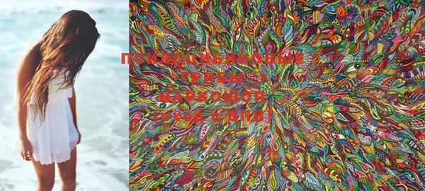 PSILOCYBIN Беломорск