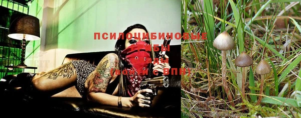 эйфоретик Баксан
