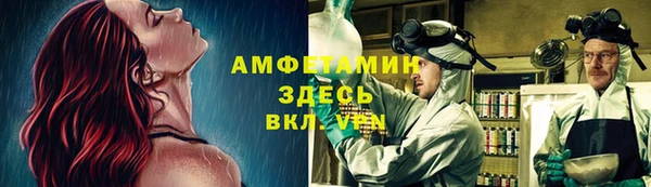PSILOCYBIN Беломорск
