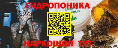 спиды Дубна