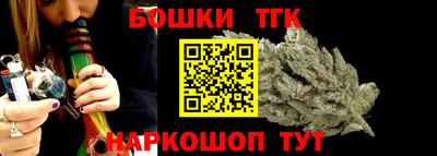 спиды Дубна