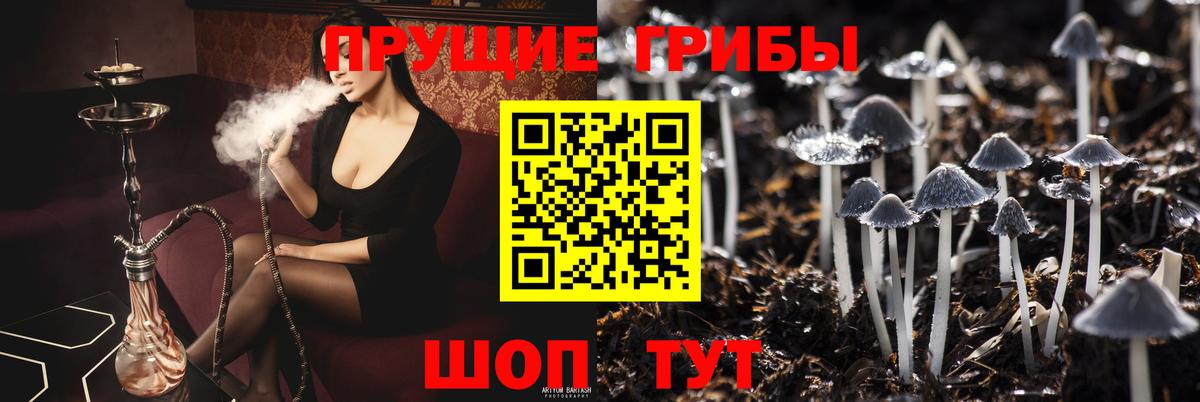 хочу   Псилоцибиновые грибы Psilocybe  Вход с VPN  Минеральные Воды 